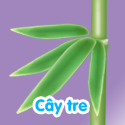Cây tre - Bé thách đố