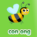 Con ong - Bộ 1