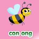 Con ong - Bộ 2