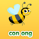 Con ong - Bộ 3