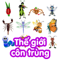 Thế giới côn trùng - bộ 1