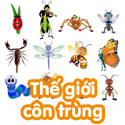 Thế giới côn trùng - bộ 2