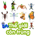 Thế giới côn trùng - bộ 3