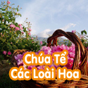 Chúa tể các loài hoa- Bộ 2