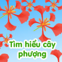 Tìm hiểu cây phương - Bộ 3