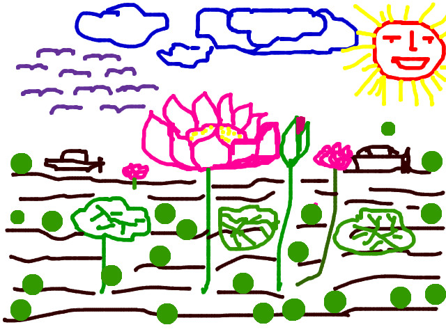 hoa-si-nhi/xem-tranh/16997/ao-sen.html