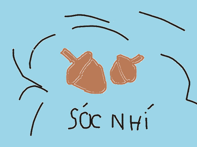 hoa-si-nhi/xem-tranh/178424/soc-nhi.html