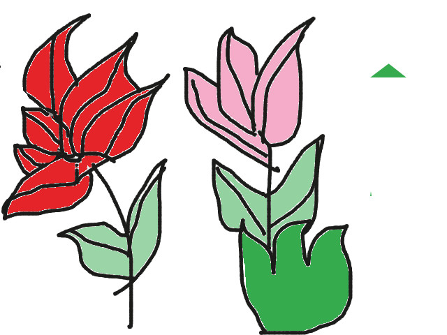 Ảnh lớn