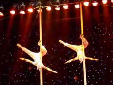 Nghệ sĩ nhào lộn