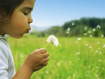 Nếu đời vắng mẹ 