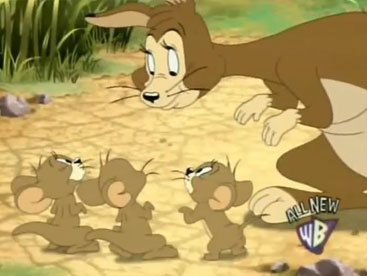 Tom và Jerry: chú gấu Kangadoo