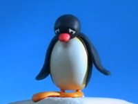 Pingu tập nhảy cầu