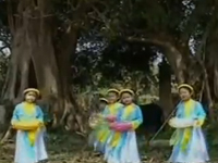 Trống cơm