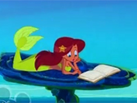 Anh em của Sharko
