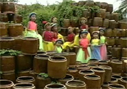 Ba bà đi bán lợn con