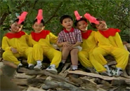 Gà trống và hoa mào gà