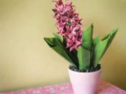 Gấp hoa lan từ giấy