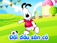 Đối đầu sân cỏ