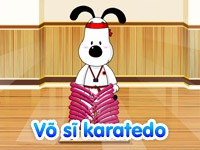 Võ sĩ karatedo