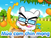 Mùa cam chín mọng