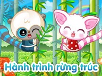 Hành trình rừng trúc