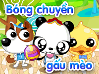 Bóng chuyền gấu mèo