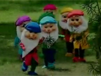 Hoa hồng vàng